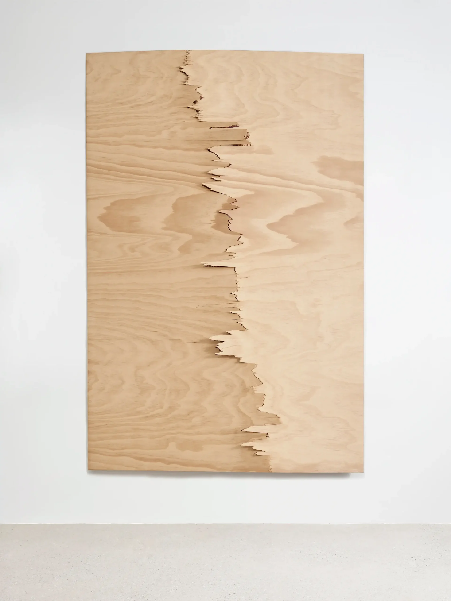 "Study 1" Plywood 48x32